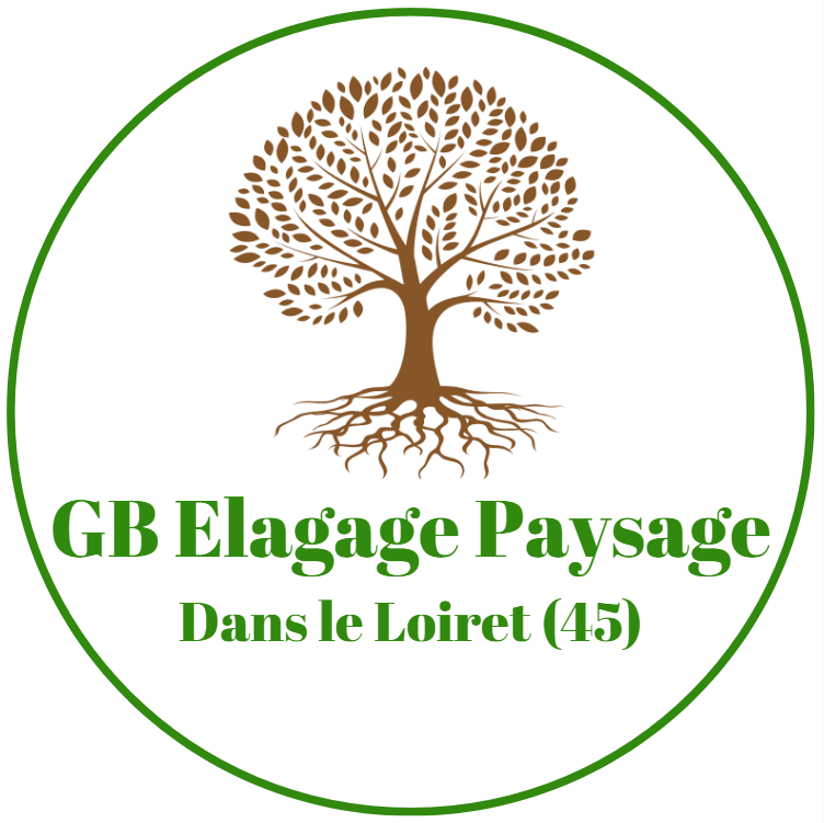 GB Elagage Paysage dans le Loiret (45)